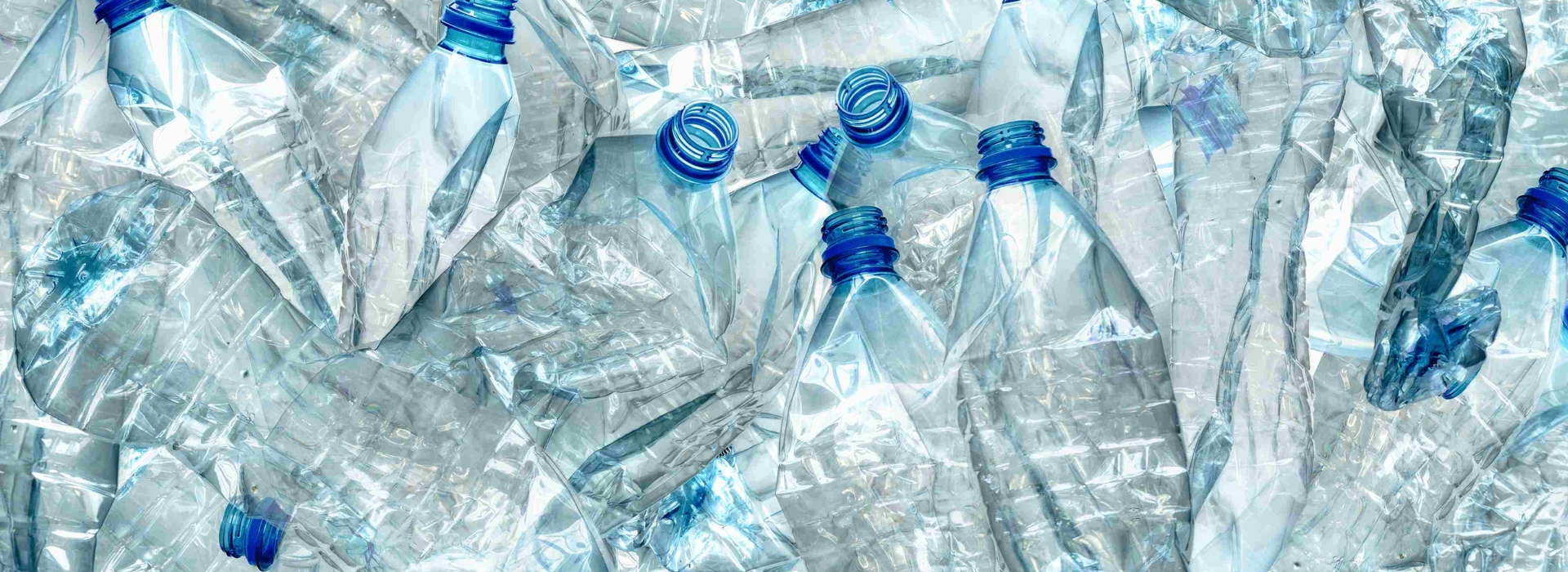 PET Bottles AS_274386764
