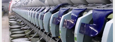 gama autocoro low res