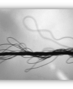 FraycamDefectImage[1]